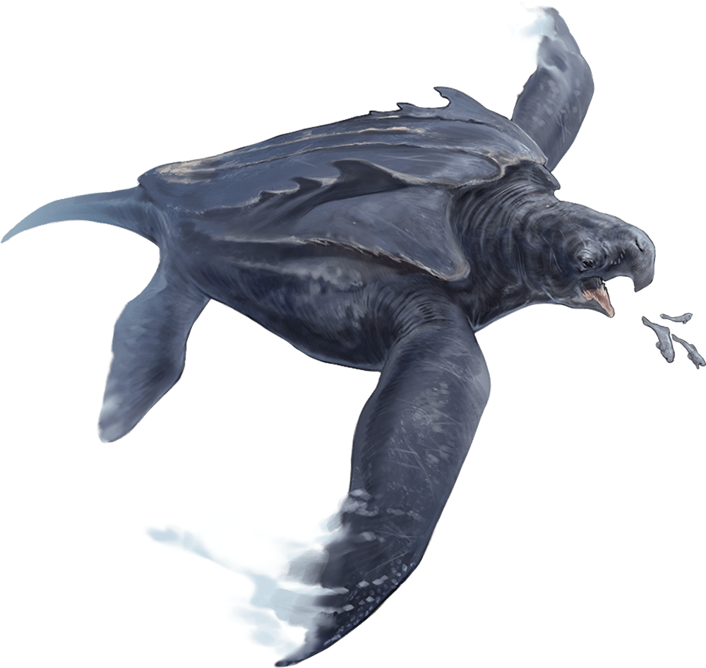 Archelon monsters d d beyond