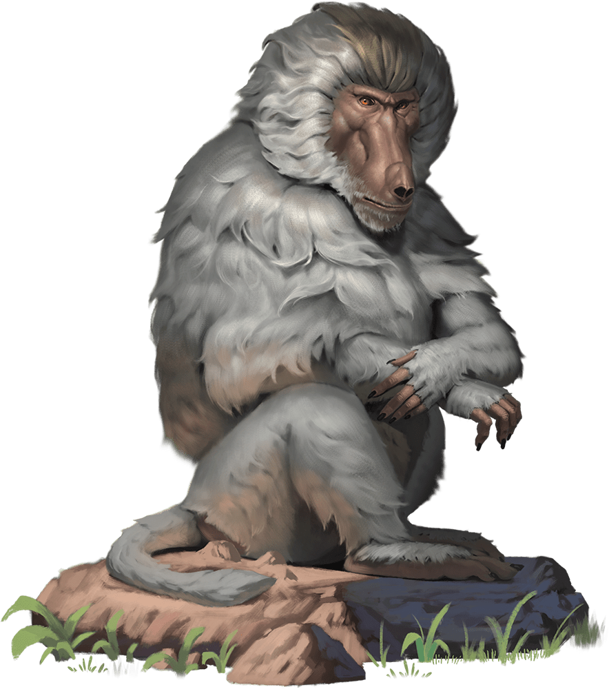 Baboon