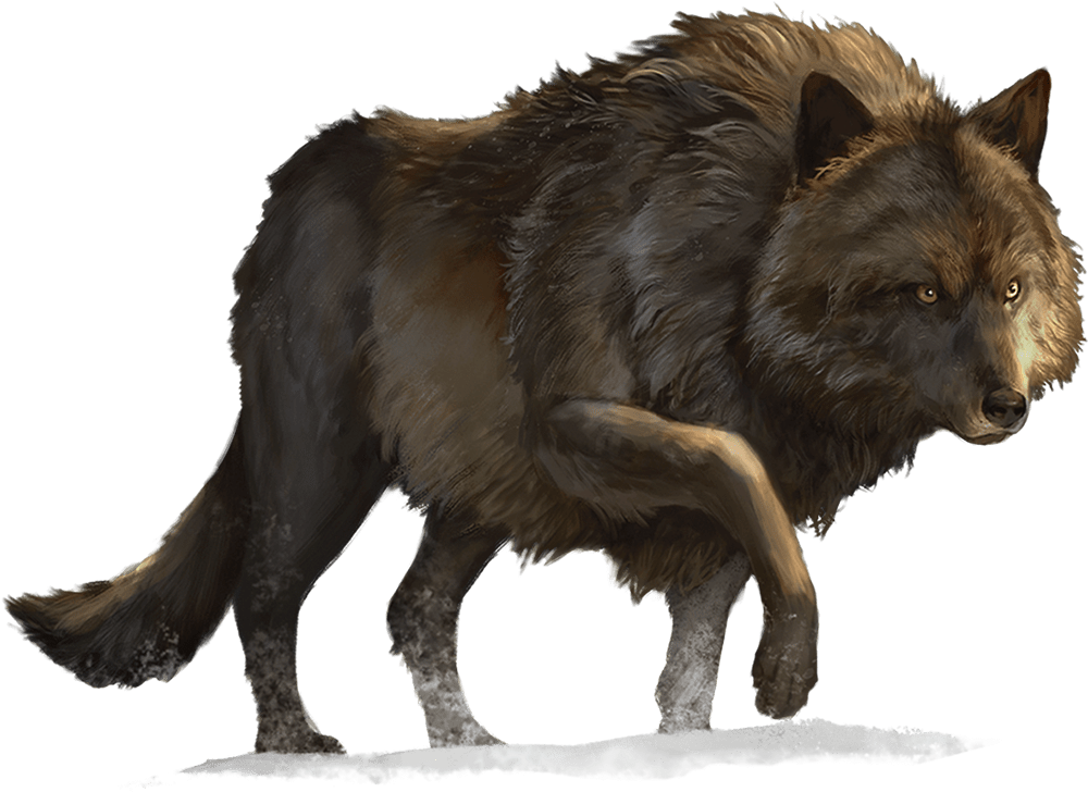 Dire Wolf