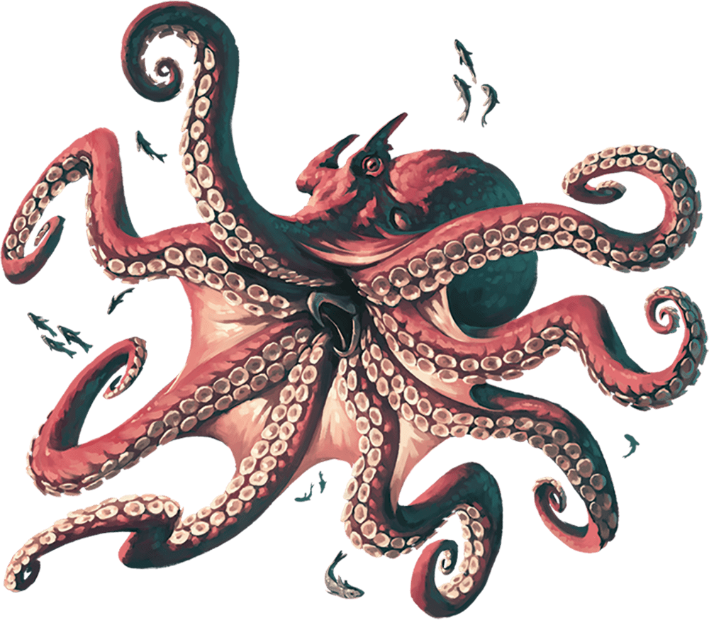 Octopus