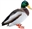 DucksAreCool's avatar