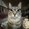 jocroww's avatar