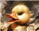 GuybrushDND's avatar