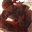 AhnjuhDM's avatar