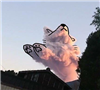 Guardbear's avatar