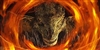 JunkMailAccount's avatar