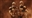 Dinodude53's avatar