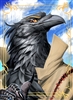 Acroth's avatar