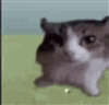 Jasonman21's avatar