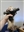 Bobbreaksspines's avatar