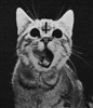 Azaree's avatar
