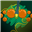 Kuroshi_'s avatar