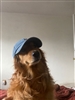 RomblerJshoin's avatar