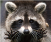 katiepult's avatar