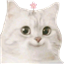 Allurer's avatar
