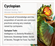 ThatOneCoolCyclopian's avatar