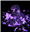 dinosaur_of_darkness's avatar