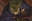Bradrogue2215's avatar