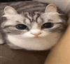 Exiell's avatar