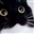 Airotaro's avatar