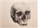 ZombieApe0089's avatar