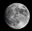cedon's avatar
