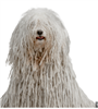 SchnufflesMcGuffin's avatar