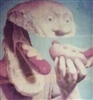 ObxShadow's avatar