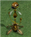 VWare's avatar