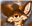 SixTheFox's avatar