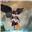 jwylde7's avatar