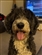 Snowflakewarmheart's avatar