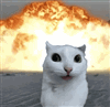 Zelphyer's avatar