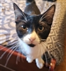 Drafim's avatar