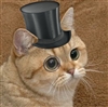 TopHatCat26's avatar