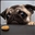 Evan06181's avatar
