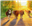 Bad_Bovine's avatar