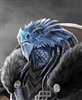 ShadeZA's avatar
