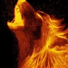 jexh's avatar