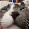 The_Deagan's avatar