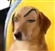 jocroww's avatar