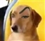 jocroww's avatar