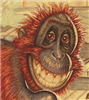 DaGreatOook's avatar