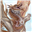 Whiskers_N_Wishes's avatar