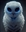 Shukis90211's avatar