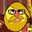 stew1416's avatar