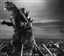 Gojira1013's avatar