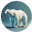 Crown_Creator's avatar