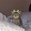 deathbytwink's avatar