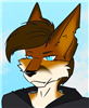 Fox_Costeo's avatar